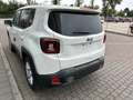 Jeep Renegade 1.0 T3 Limited * PRONTA CONSEGNA* Bianco - thumbnail 6