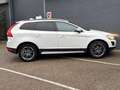 Volvo XC60 2.4 D5 AWD Momentum | Leder | Climate | Cruise | White - thumbnail 7