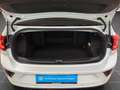 Volkswagen T-Roc R line 1.5 TSI DSG IQ.LIGHT NAVI Weiß - thumbnail 16