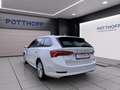 Skoda Octavia Combi 2.0 TDI STYLE AHK PDC SITZHZG KLIMA Weiß - thumbnail 2