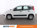 Fiat Panda 1.2 Easy Alb - thumbnail 3