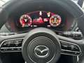 Mazda CX-60 3.3L MHEV Exclusive-Line PANO 2WD 147kW Aut. Gris - thumbnail 20