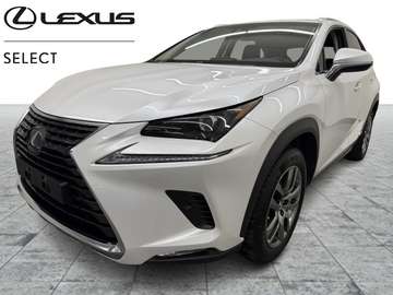 Executive 4X4