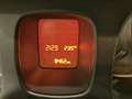 Fiat Panda 1.0 FireFly 70cv S&S Hybrid Rosso - thumbnail 13