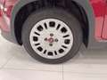 Fiat Panda 1.0 FireFly 70cv S&S Hybrid Rosso - thumbnail 7