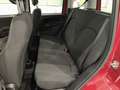 Fiat Panda 1.0 FireFly 70cv S&S Hybrid Rosso - thumbnail 10