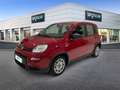 Fiat Panda 1.0 FireFly 70cv S&S Hybrid Rosso - thumbnail 1