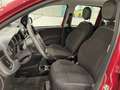 Fiat Panda 1.0 FireFly 70cv S&S Hybrid Rosso - thumbnail 9