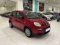Fiat Panda 1.0 FireFly 70cv S&S Hybrid Rosso - thumbnail 5