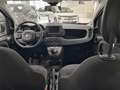 Fiat Panda 1.0 FireFly 70cv S&S Hybrid Rosso - thumbnail 8