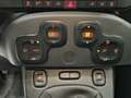 Fiat Panda 1.0 FireFly 70cv S&S Hybrid Rosso - thumbnail 17