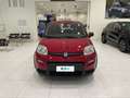 Fiat Panda 1.0 FireFly 70cv S&S Hybrid Rosso - thumbnail 6