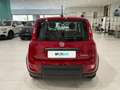 Fiat Panda 1.0 FireFly 70cv S&S Hybrid Rosso - thumbnail 4