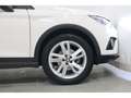 SEAT Arona 1.0 TGI FR Klima*Ambiente*LED * Blanco - thumbnail 5