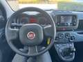 Fiat Panda 1.0 FireFly Hybrid 70cv MT6 - PREZZO REALE Zwart - thumbnail 10