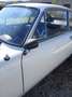 Fiat 850 Bianco - thumbnail 7