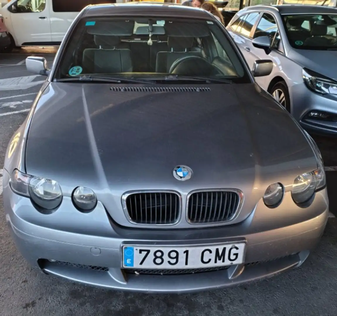 BMW 318 318i Gris - 2