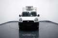 Fiat Doblo 2.0 MJT FRIGO  -20° 08/26 PARATIA DIVI Bianco - thumbnail 2
