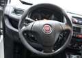 Fiat Doblo 2.0 MJT FRIGO  -20° 08/26 PARATIA DIVI Bianco - thumbnail 13