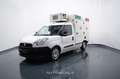 Fiat Doblo 2.0 MJT FRIGO  -20° 08/26 PARATIA DIVI Bianco - thumbnail 1