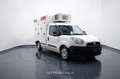 Fiat Doblo 2.0 MJT FRIGO  -20° 08/26 PARATIA DIVI Bianco - thumbnail 8