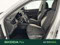 Skoda Kamiq 1.0 tsi style 110cv dsg Bianco - thumbnail 7