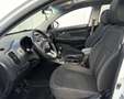 Kia Sportage 1.7CRDi Drive Weiß - thumbnail 13