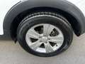 Kia Sportage 1.7CRDi Drive Weiß - thumbnail 22