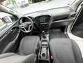 Isuzu D-Max 1.9 TD 163 SIMPLE CABINE 4X4 Blanc - thumbnail 8