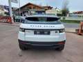 Land Rover 2.2 SD4 Cou. Prestige Bianco - thumbnail 6