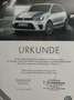 Volkswagen Polo R WRC - thumbnail 4