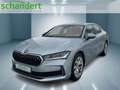 Skoda Superb 2.0 TSI Selection 4x4 DSG LED Navi AHK Silber - thumbnail 1