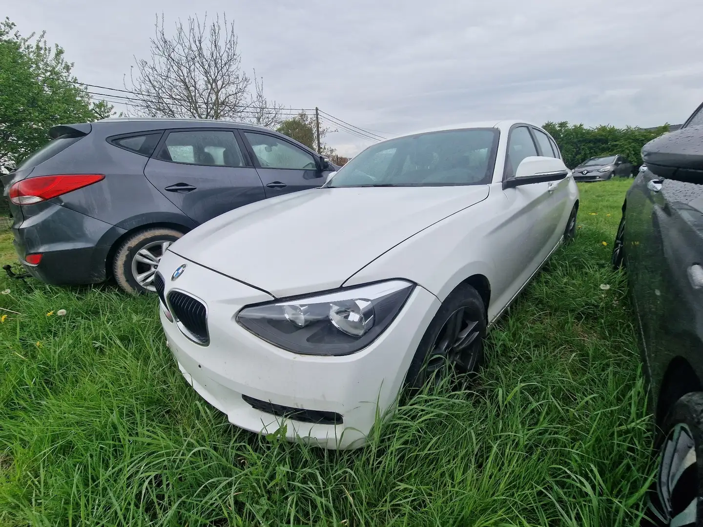 BMW 116 d - 1