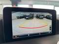 Mercedes-Benz AMG GT 4.0 462cv auto Uff. Italiana Tagliandi Mercedes Nero - thumbnail 12