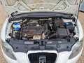 SEAT Leon Stylance / Style Weiß - thumbnail 39
