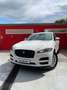 Jaguar F-Pace 2.0L i4D AWD Automático Portfolio Blanc - thumbnail 6