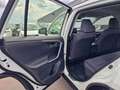 Toyota RAV 4 2.5 Hybrid Edition Navigatie, Adaptieve cruise con Wit - thumbnail 23