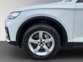 Audi Q5 40 2.0 TDI 150 kW quattro, MMI Navi, Assistenzpake White - thumbnail 9