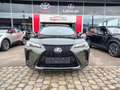 Lexus UX 300h 300h F Sport Design Grün - thumbnail 2