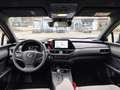 Lexus UX 300h 300h F Sport Design Grün - thumbnail 8