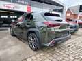 Lexus UX 300h 300h F Sport Design Grün - thumbnail 4