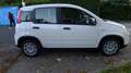 Fiat Panda 1.0 FireFly S&S Hybrid Pandina Blanc - thumbnail 9