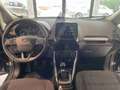 Ford EcoSport EcoSport 1.0 ecoboost Business s Grigio - thumbnail 10