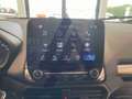 Ford EcoSport EcoSport 1.0 ecoboost Business s Grigio - thumbnail 13