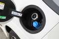 Ford Puma 1.5 Ecoblue ST-Line 120 Bianco - thumbnail 37