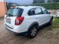 Chevrolet Captiva Captiva 2.0 vcdi 16v LT Bianco - thumbnail 3