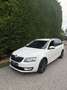 Skoda Octavia Combi 2,0 Ambition TDI Green tec - thumbnail 1