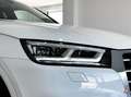 Audi Q5 Q5 40 2.0 tdi S line Plus quattro 190cv s-tronic Wit - thumbnail 5