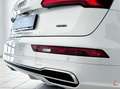 Audi Q5 Q5 40 2.0 tdi S line Plus quattro 190cv s-tronic Wit - thumbnail 7