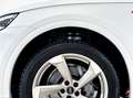 Audi Q5 Q5 40 2.0 tdi S line Plus quattro 190cv s-tronic Wit - thumbnail 6